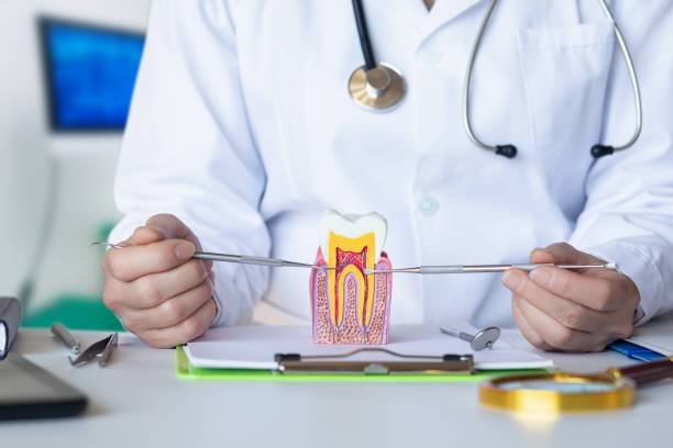 Best Pediatric Emergency Dentist in Oakville, CT